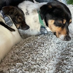 Meet your Posher, Kiera